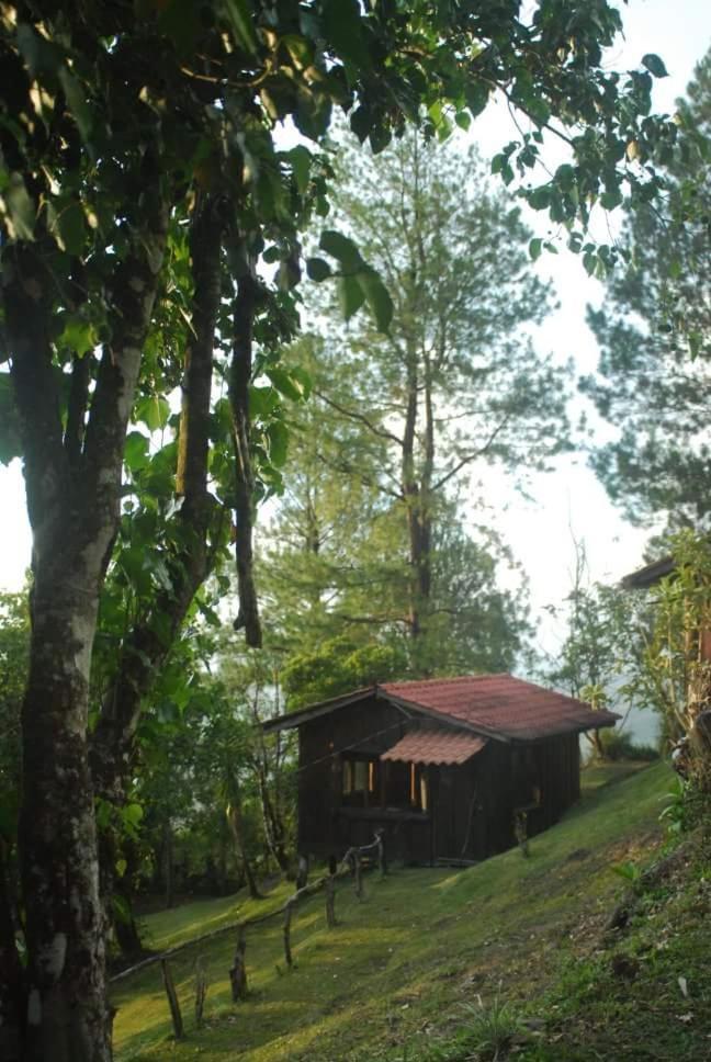 Cabanas Don Camilo Albergue De Montana Cabecera de Canas Exterior photo